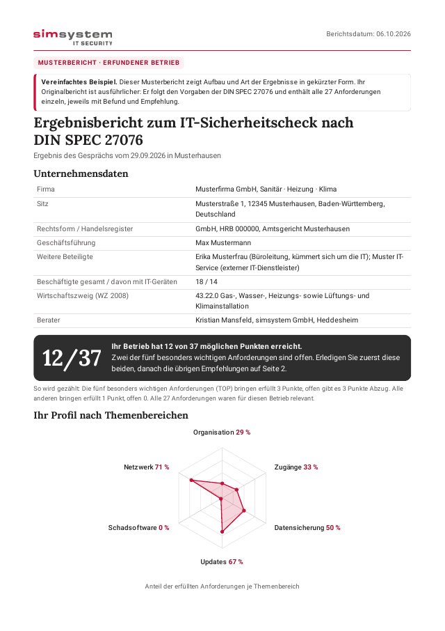 Erste Seite eines gekürzten Musterberichts mit Punktestand und Netzdiagramm